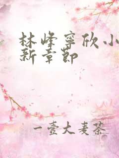 林峰宁欣小说最新章节