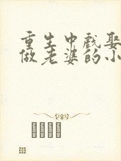 重生中戏娶曾黎做老婆的小说