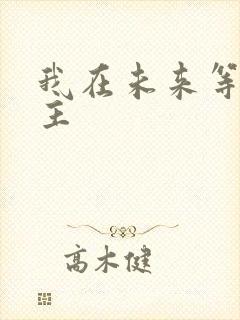 我在未来等你男主