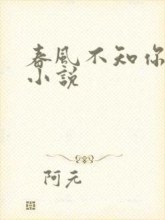 春风不知你情深小说