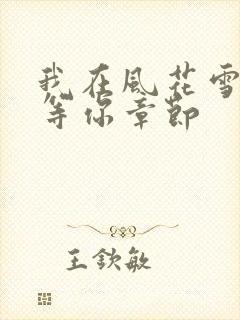 我在风花雪月里等你章节