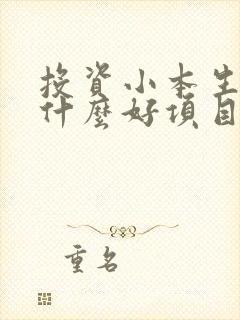 投资小本生意有什么好项目