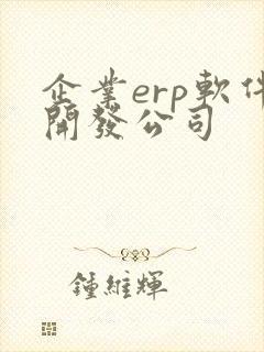企业erp软件开发公司