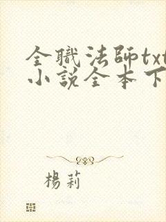 全职法师txt小说全本下载