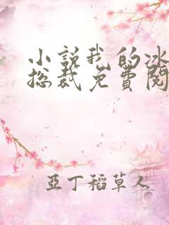 小说我的冰山女总裁免费阅读免费