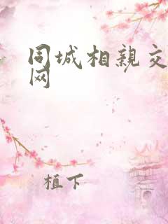 同城相亲交友 网