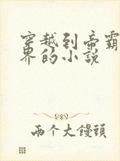 穿越到帝霸大世界的小说