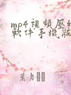 mp4视频压缩软件手机版