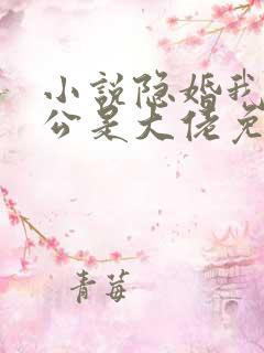 小说隐婚我的老公是大佬免费阅读