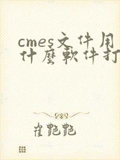 cmes文件用什么软件打开