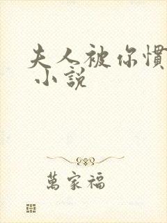 夫人被你惯坏了 小说