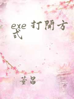 exe 打开方式