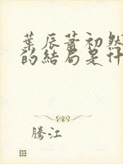 叶辰萧初然最后的结局是什么