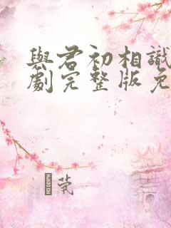 与君初相识电视剧完整版免费高清