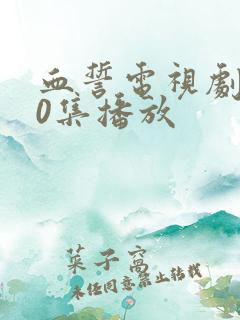 血誓电视剧全30集播放