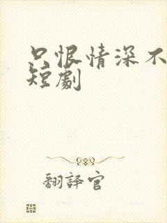 只恨情深不识鸢短剧