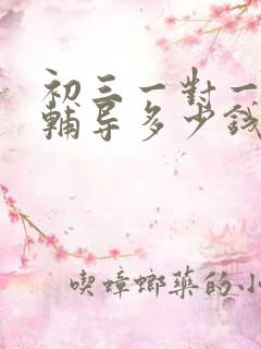 初三一对一英语辅导多少钱