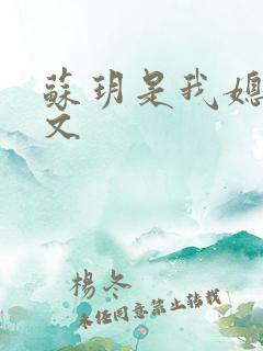 苏玥是我媳妇全文