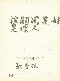 谭嗣同是好人还是坏人