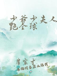 少爷少夫人她惊艳全球