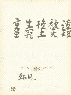 重生后被渣男舅舅宠上天短剧