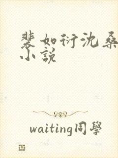 裴如衍沈桑宁的小说