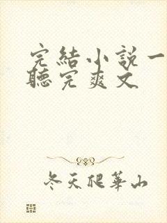 完结小说一口气听完爽文