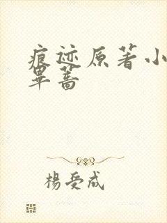 痕迹原著小说 毕蔷