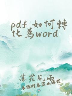 pdf 如何转化为word