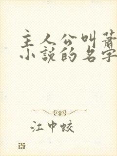 主人公叫萧凡的小说的名字