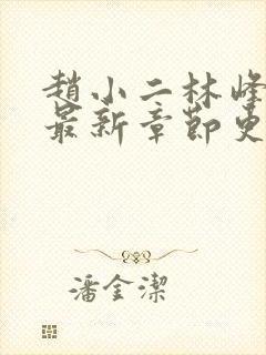 赵小二林峰宁欣最新章节更新小说