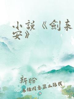 小说《剑来陈平安》