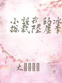 小说我的冰山女总裁陆尘李清瑶