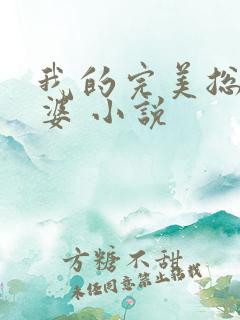 我的完美总裁老婆 小说