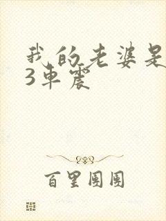 我的老婆是大佬3车震