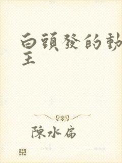 白头发的动漫男主