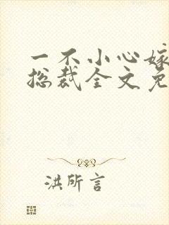 一不小心嫁了个总裁全文免费阅读