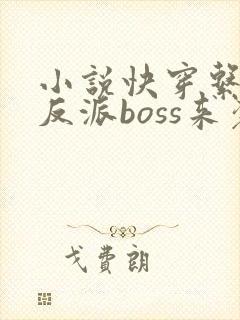小说快穿系统之反派boss来袭txt