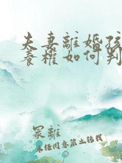 夫妻离婚孩子抚养权如何判决