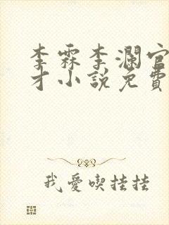 李霖李澜官场奇才小说免费阅读