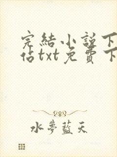 完结小说下载网站txt免费下载