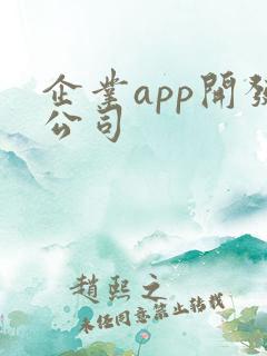 企业app开发公司