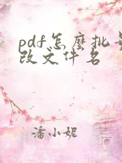 pdf怎么批量改文件名