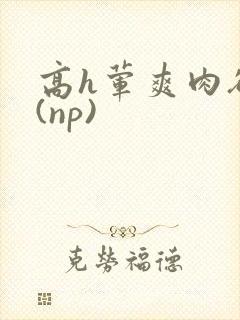 高h荤爽肉欲文(np)