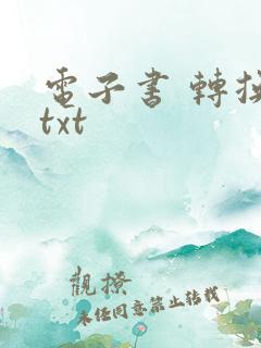 电子书 转换 txt