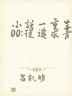 小说一重生2000:从追求青涩校花同桌开始