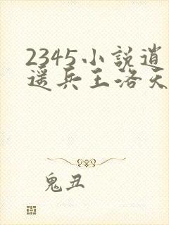 2345小说逍遥兵王洛天