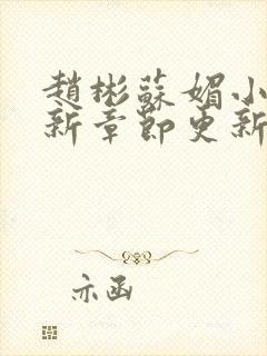 赵彬苏媚小说最新章节更新情况