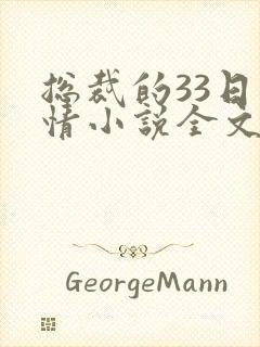 总裁的33日索情小说全文免费