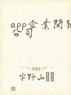 app企业开发公司